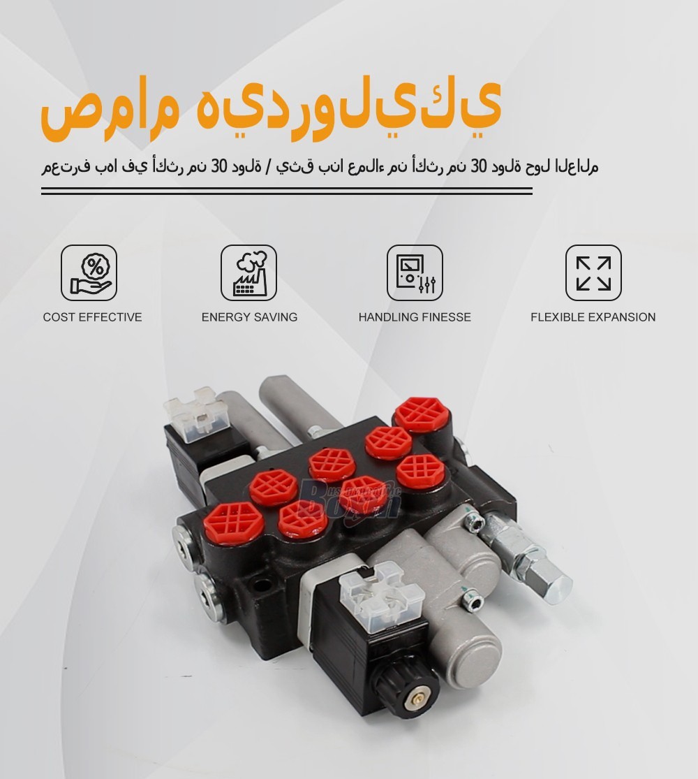 P40-BOT-BQTW1-DCOT Solenoid and Cable 3 Spool Monoblock Valve